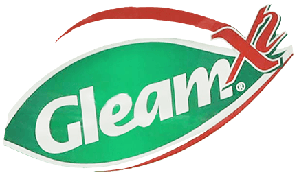 Gleam Logo